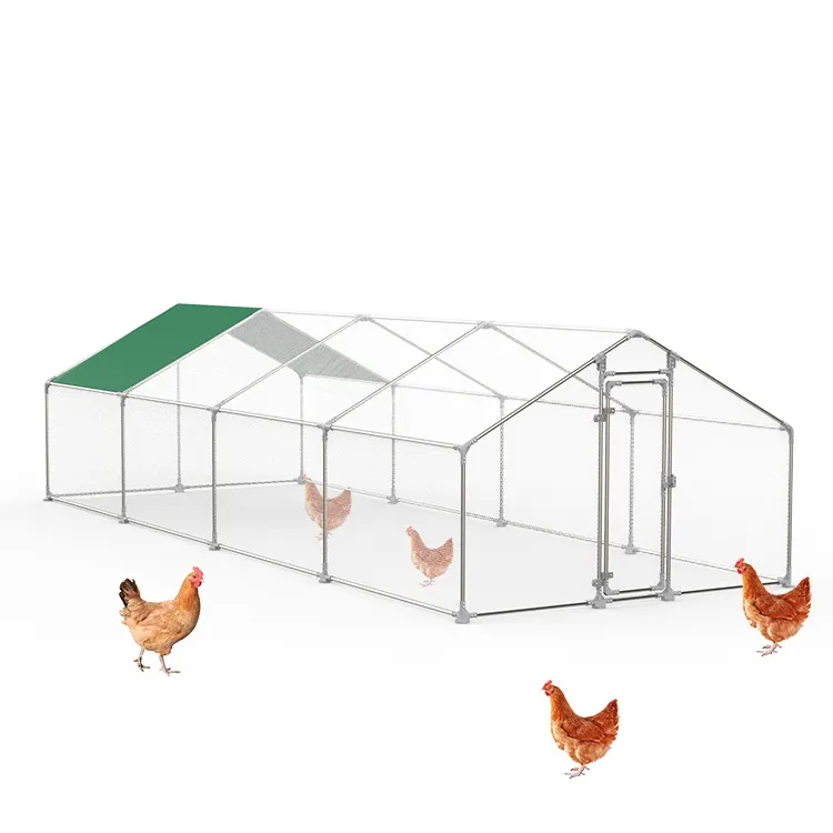 Factory Direct Selling Wasserdicht 8m 4 Zimmer Large Metal Chicken Run Chicken Run Coop