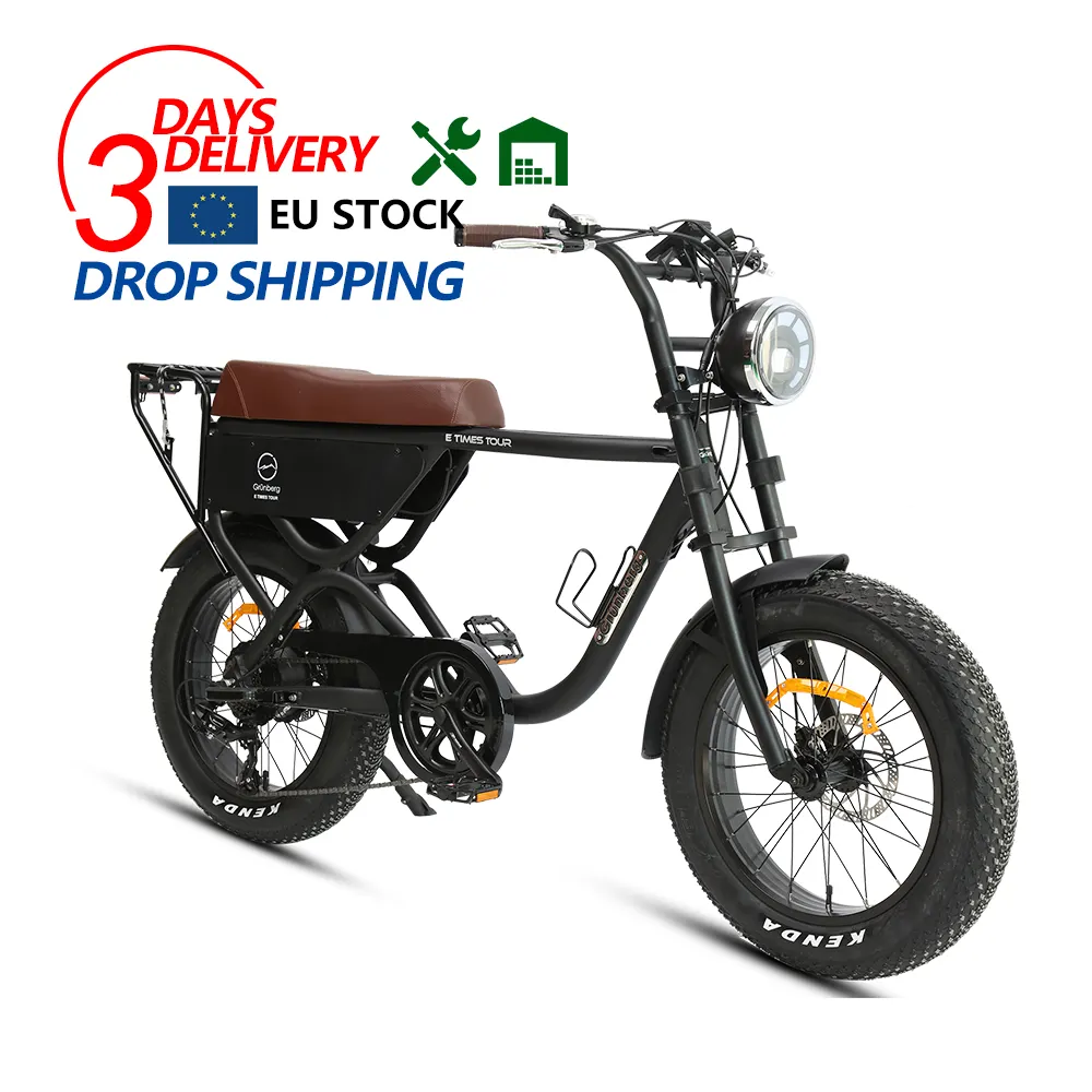 TXED 20 Cruiser Fat Tire bicicleta eléctrica 250W Motor Sport 7 velocidades bicicleta de calle eléctrica