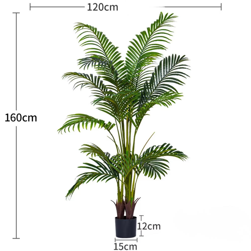 Palmier Areca vert à branches hautes de 1,6 m