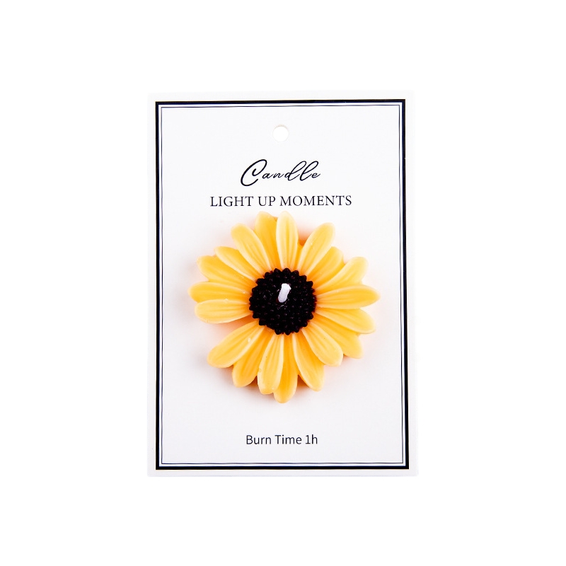Orange-Daisy