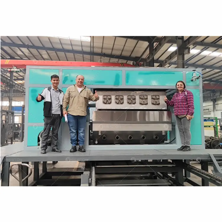 Beston Group Séchage automatique des métaux 5000 pcs/h Pâte à papier Oeuf Carton Plateau Faisant la Machine Ligne de production à vendre