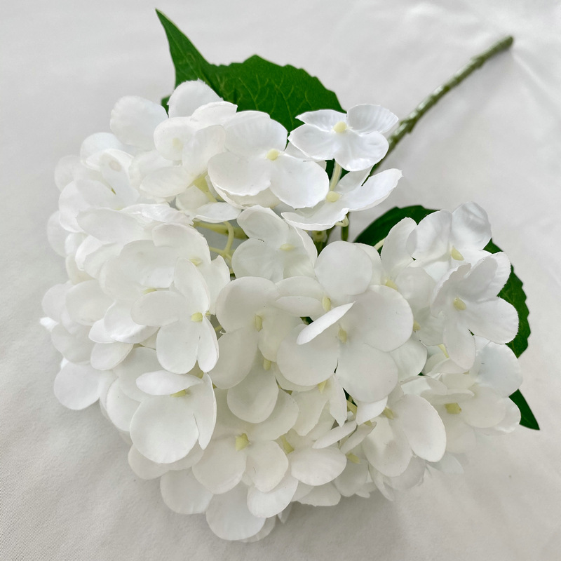 Blanco puro