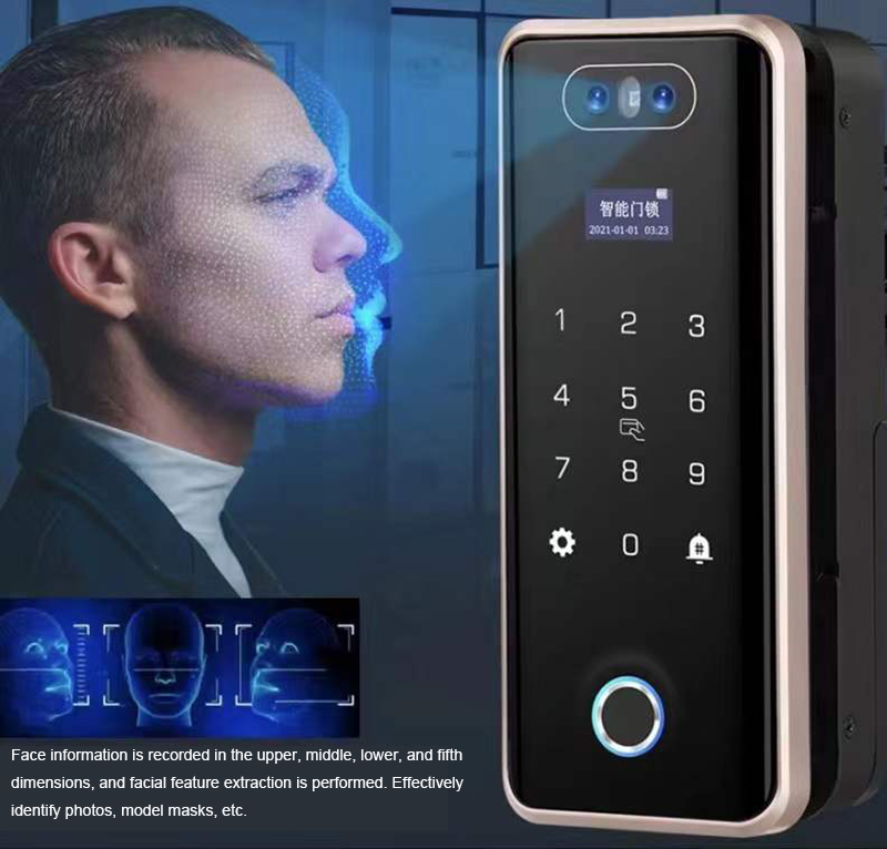 Competitive Price G5S 3D Face Recognition Glass Door Lock Biometric Passcode Fingerprint Smart Glass Door Lock
