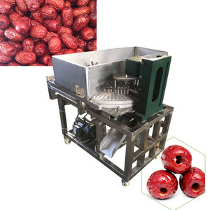 Macchina per la rimozione delle sementi per la lavorazione delle date automatiche industriali - Product Image 6
