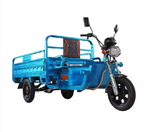 JOYKIE bertenaga listrik 200W sepeda roda tiga, kuat: 48V/60V, 20A roda besar truk kargo untuk dewasa