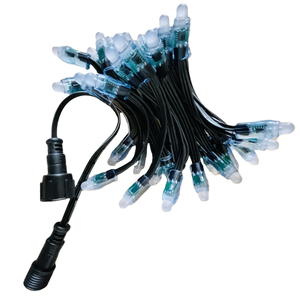 คุณภาพสูง IP68กันน้ำ12เซนติเมตรสี <span class=keywords><strong>RGB</strong></span> นำจุดไฟ DC 5V/12V 2811 xconnect โฆษณาคริสต์มาสแบบแอดเดรส - Product Image 4