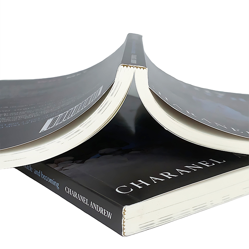 Libro de bolsillo