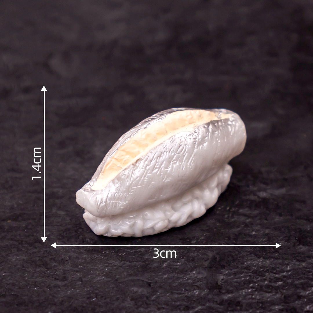 6# Small fin sushi
