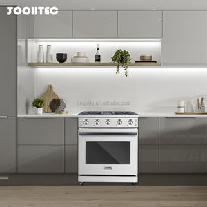 JOOHTEC 120V Luxury italiano bruciatore classico retrò elettrico girarrosto stufa continentale a Gas - Product Image 1