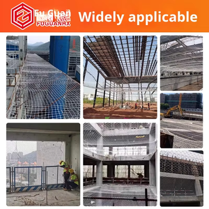 Chất lượng cao Trắng polyester <span class=keywords><strong>nylon</strong></span> PE PP lưới baifuguan mô hình thương hiệu 110-2 nhà sản xuất-Xử lý cắt bảo vệ mùa thu - Product Image 6