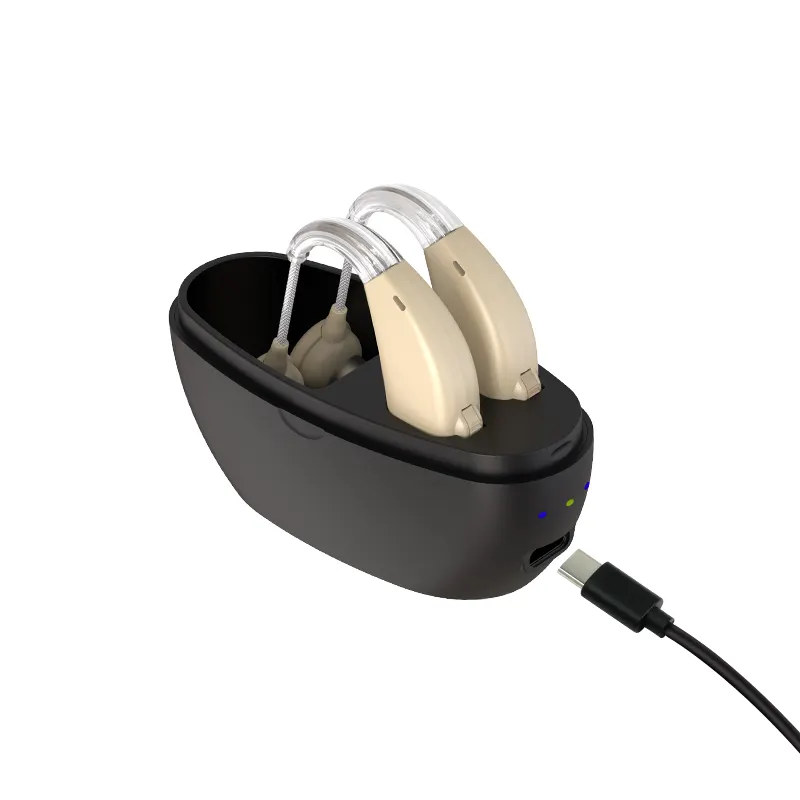 Audífono recargable para personas mayores, modelo BTE, ayuda auditiva para personas mayores