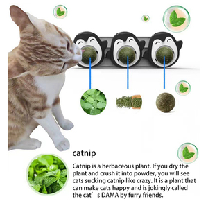Venta al por mayor Durable Penguin Design Interactive Ball Cat Toy Safe Wall Sucker con Triple Catnip Mint Licking - Product Image 5