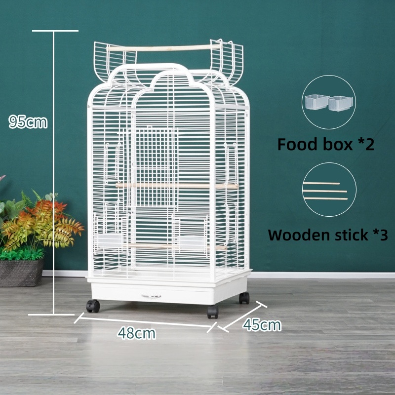 Édition standard A900 blanche