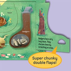 กระดาน Peek-A-FLAP แบบกำหนดเองหนังสือยกกระดานพนังพิมพ์หนังสือสำหรับเด็ก - Product Image 4