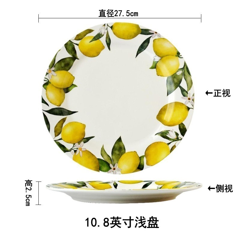 Disque plat de 10,8 pouces