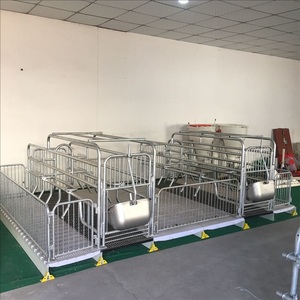 高品质最佳猪产仔箱优质畜牧设备养殖新条件猪舍解决方案