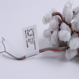 Hot Sale <strong>Pixel</strong> <strong>LED</strong> <strong>String</strong> <strong>Lights</strong> 9mm DC12V <strong>LED</strong> <strong>Pixel</strong> <strong>Light</strong> IP67 0.2W White for Advertising Signs <strong>String</strong> - Product Image 3