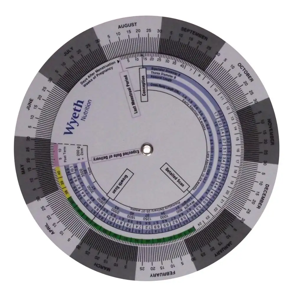 Roue de calculatrice pour imc, appareil médical de contrôle de la Date de grossesse, imc