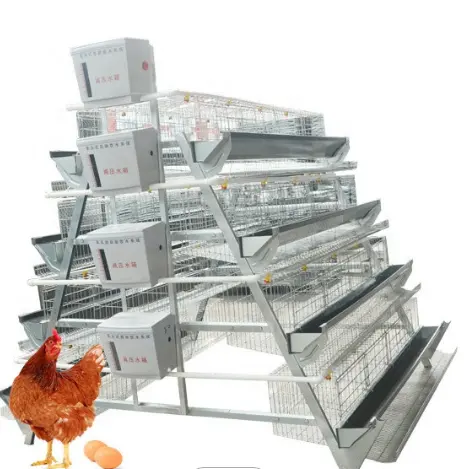 Недорогая профессиональная клетка типа А для яиц, клетка для курицы, для общей закрытой автоматической системы для куриных ферм