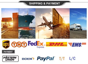 2024 chuyên nghiệp cộng với ltsc khối lượng giấy phép trong kho với Giao hàng nhanh chóng 100% kích hoạt đảm bảo hệ điều hành Mac hỗ trợ - Product Image 4