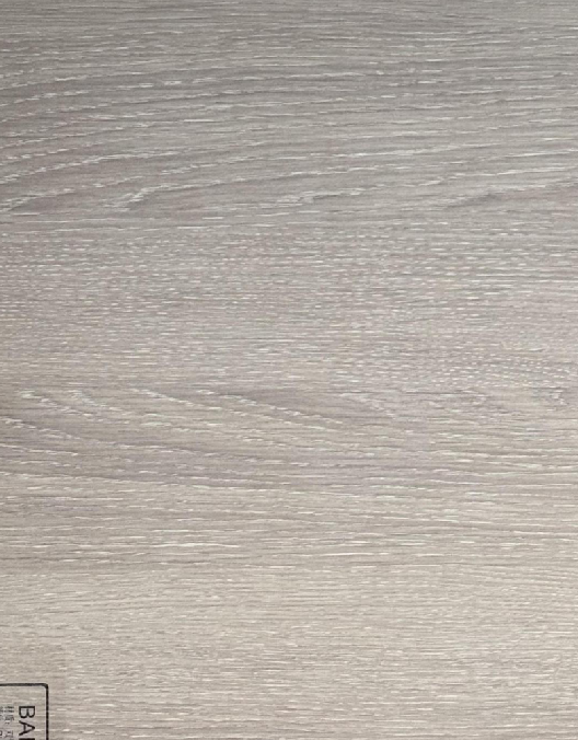 BL23-S56