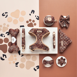 SinSky Printed <strong>Dog</strong> <strong>Harness</strong> Set Custom Design Soft Quilted <strong>Dog</strong> <strong>Harness</strong> and Leash Set Personalized Logo Luxury <strong>Pet</strong> <strong>Dog</strong> <strong>Harness</strong> - Product Image 6