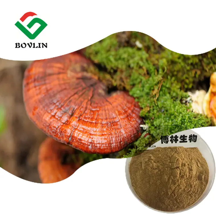 Органический порошок грибов Ganoderma Lucidum Reishi, экстракт Ganoderma Lucidum 40% полисахаридов