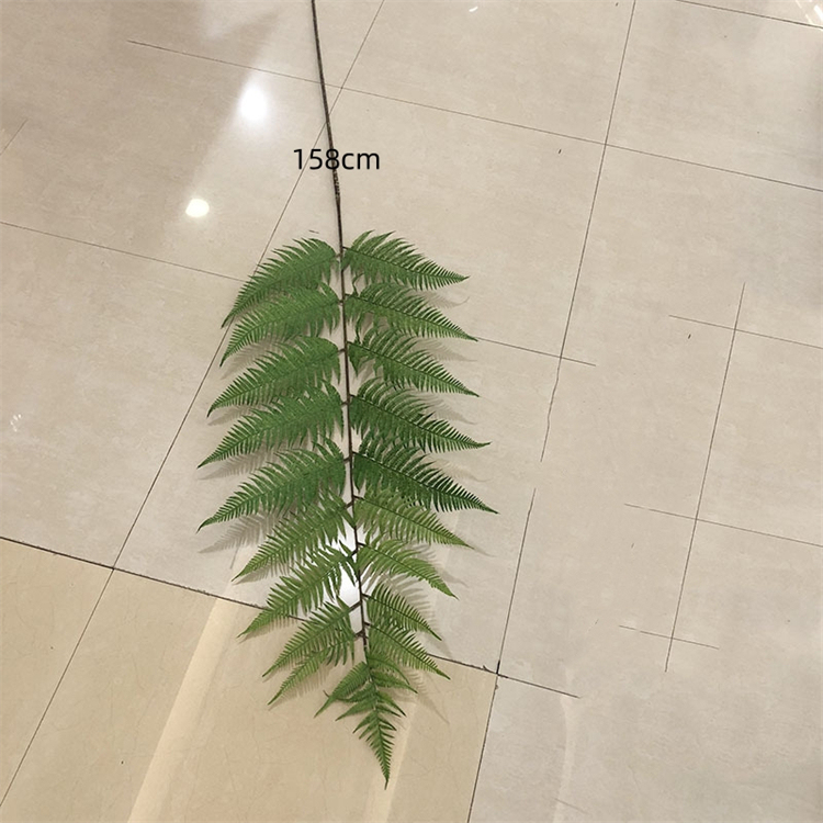 158cm