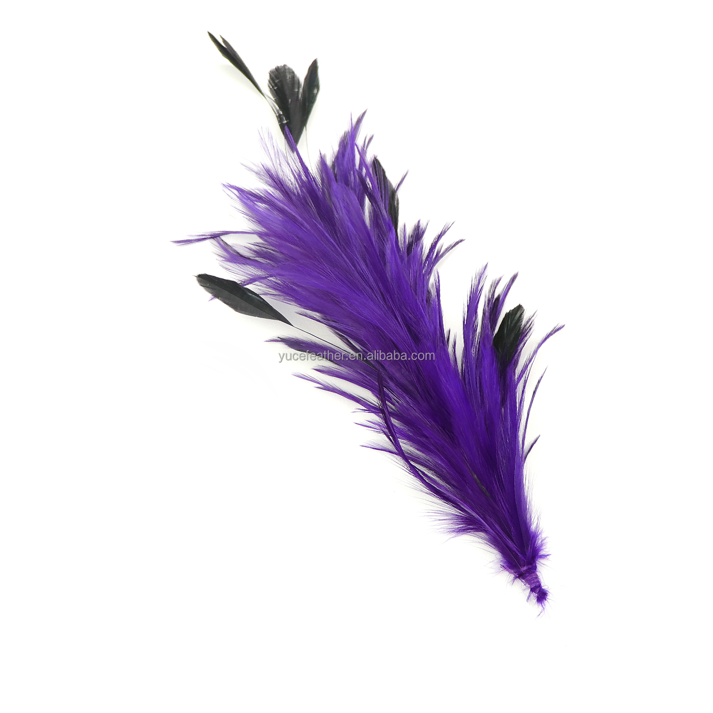 Pourpre