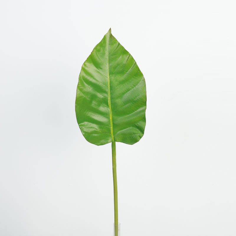 75ซม.-PU ใบเดี่ยว