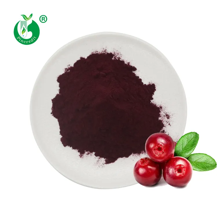 Extrato de fruta de cranberry puro natural atacado em massa 25% anocyanin em pó