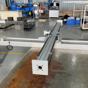 Attuatore lineare a sfere ad alta velocità ad alta velocità per carichi pesanti - Product Image 5