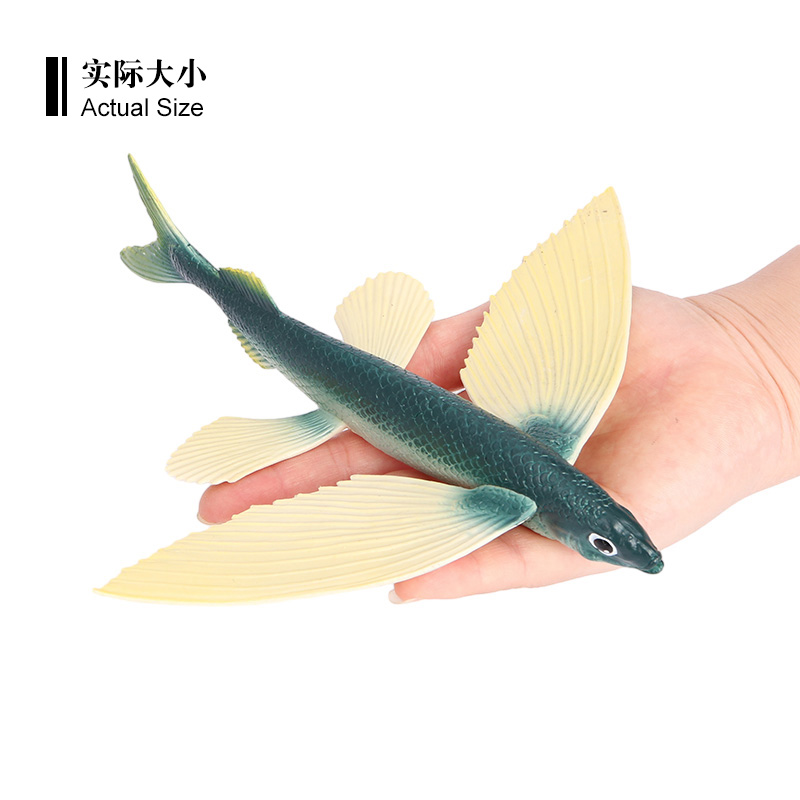 2525 Flying Fish