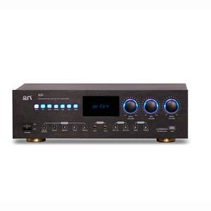 Amplificador de Karaoke de entrada de micrófono de dos canales de alta calidad, 2 terminales de salida de señal, altavoz de Material metálico de gama alta a bajo precio - Product Image 1