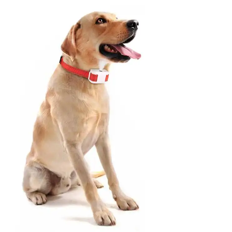 Anjing anti-menggonggong alat pencegah anjing kecerdasan pelatihan Otomatis semprot kerah pengendali gonggongan