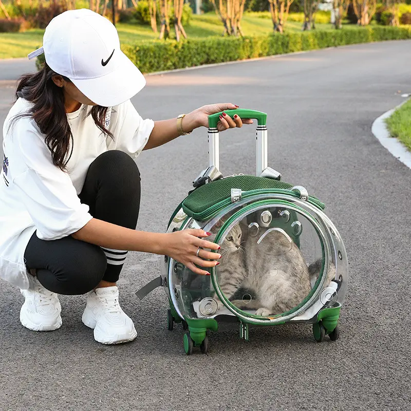 Tekerlekler ile hafif malzeme şeffaf pet arabası taşıyıcı taşınabilir kedi evi kedi seyahat sırt çantası