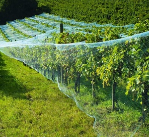 Rete da giardino protettiva per uccelli in HDPE, rete e coperture in vendita - Product Image 4
