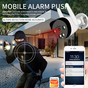 IP66 Cámara IP a prueba de agua inalámbrica WiFi IP cámara de red de seguridad 12V ICSEE 2MP 3MP 5MP Cámara inteligente para exteriores - Product Image 6