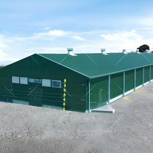 Aves Armazém Construção Construção Free Range Chicken House Design Estrutura Aço Galpão Design <span class=keywords><strong>Steel</strong></span> Building