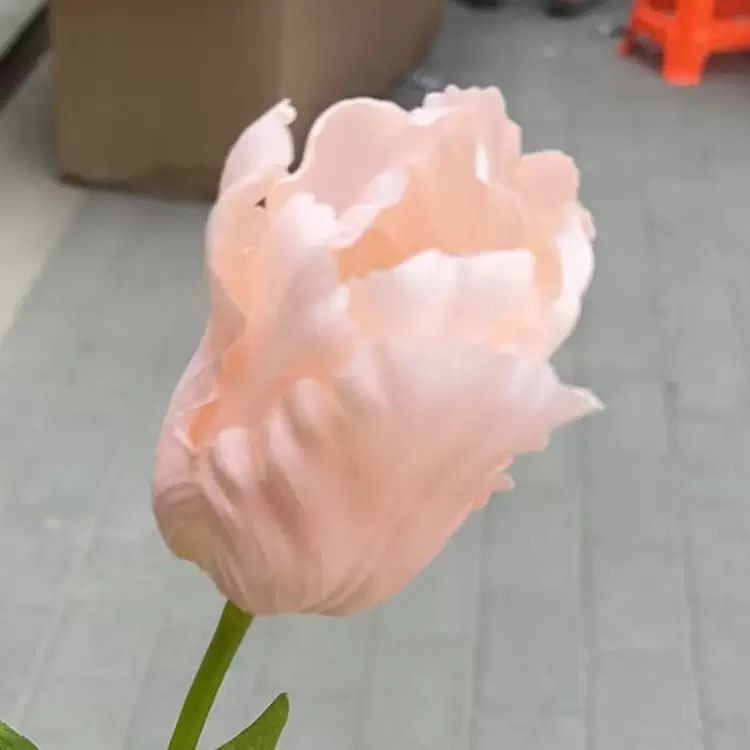 Rose chair