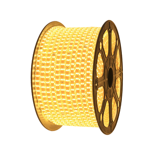 Toptan akıllı DC220V 100 metre SMD 5050 su geçirmez IP65 esnek RGB renk değiştiren LED şerit işık ucuz fabrika fiyat - Product Image 1