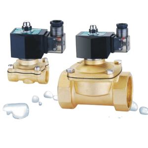AC220 AC110 AC24 DC24 DC12V高压气瓶阀/气体控制阀在中国 - Product Image 1