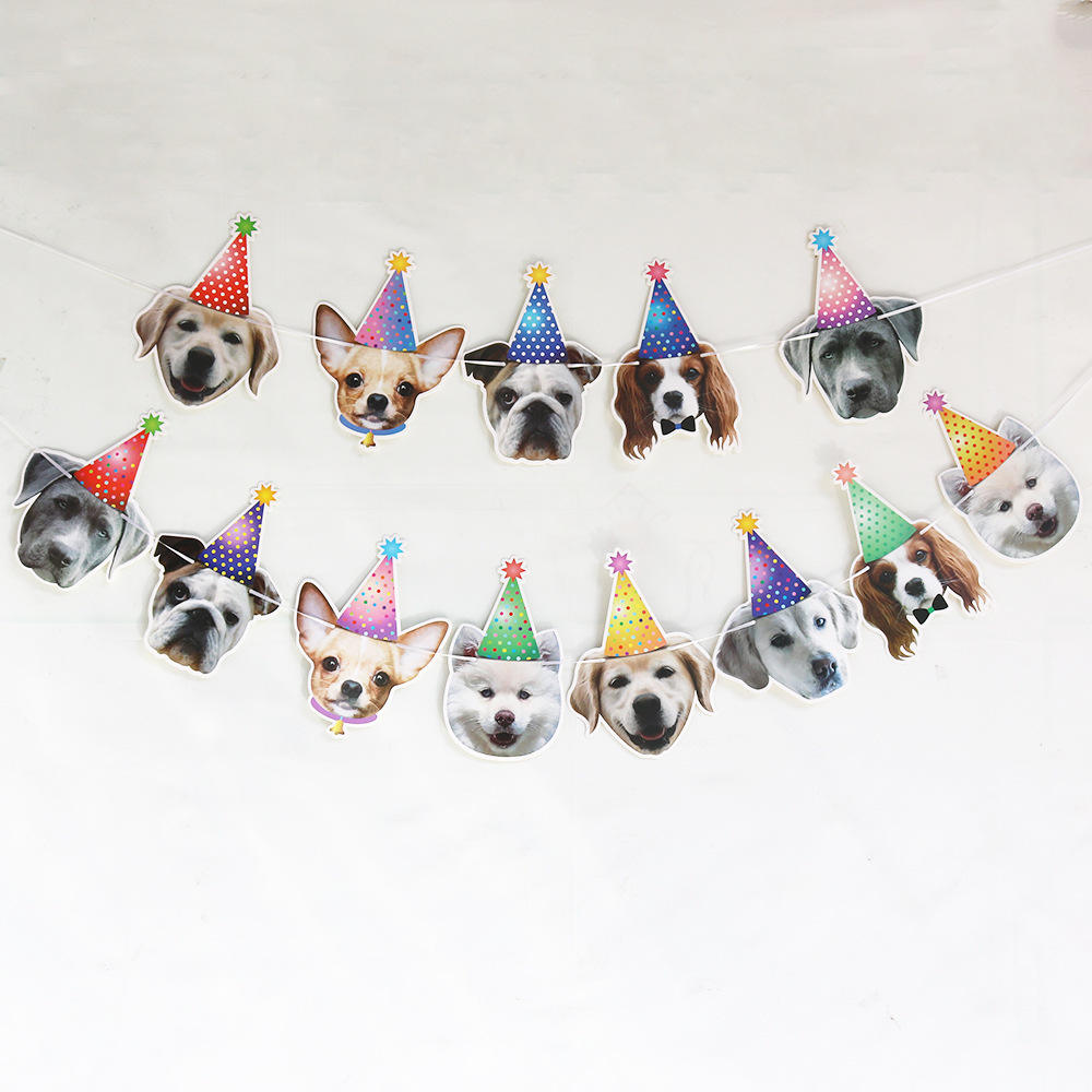 Chien