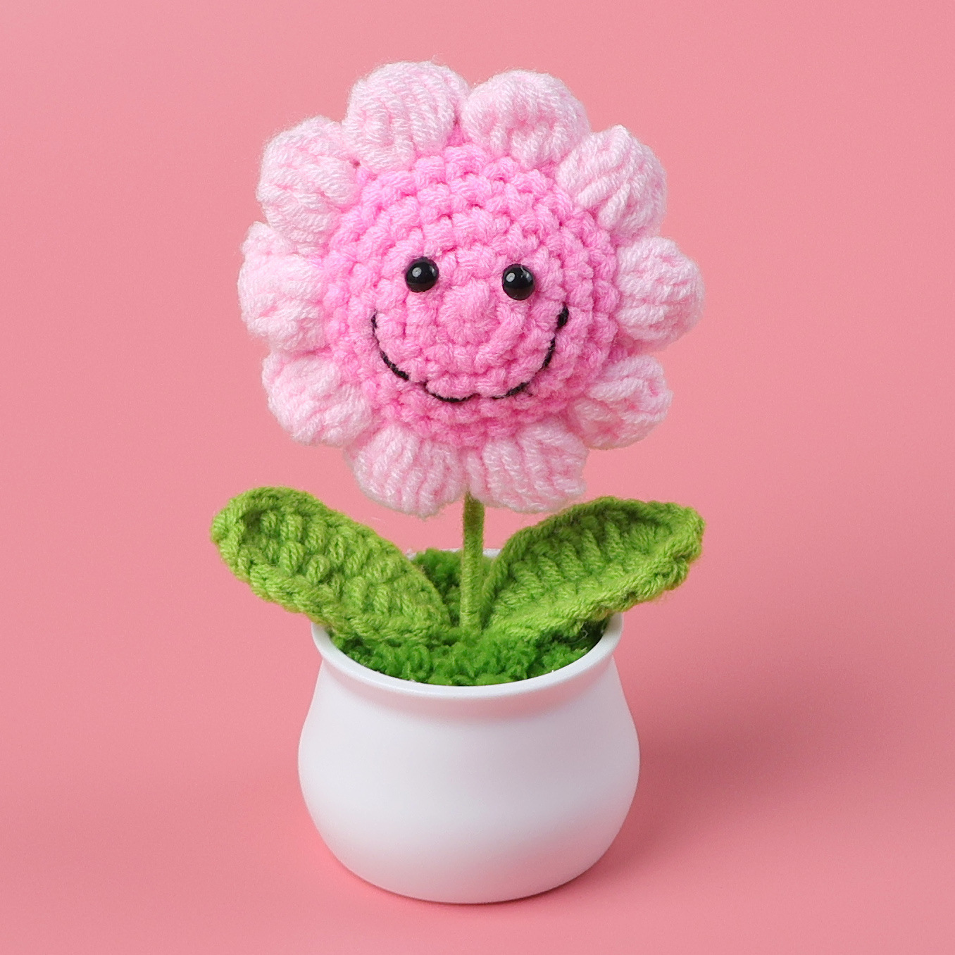 Pink Sunflower