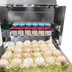 Stampante automatica TIJ per codifica a getto d'inchiostro/pressa per punzonatura uova/macchina per codifica a getto d'inchiostro di alta qualità, stampa a getto d'inchiostro a sei teste