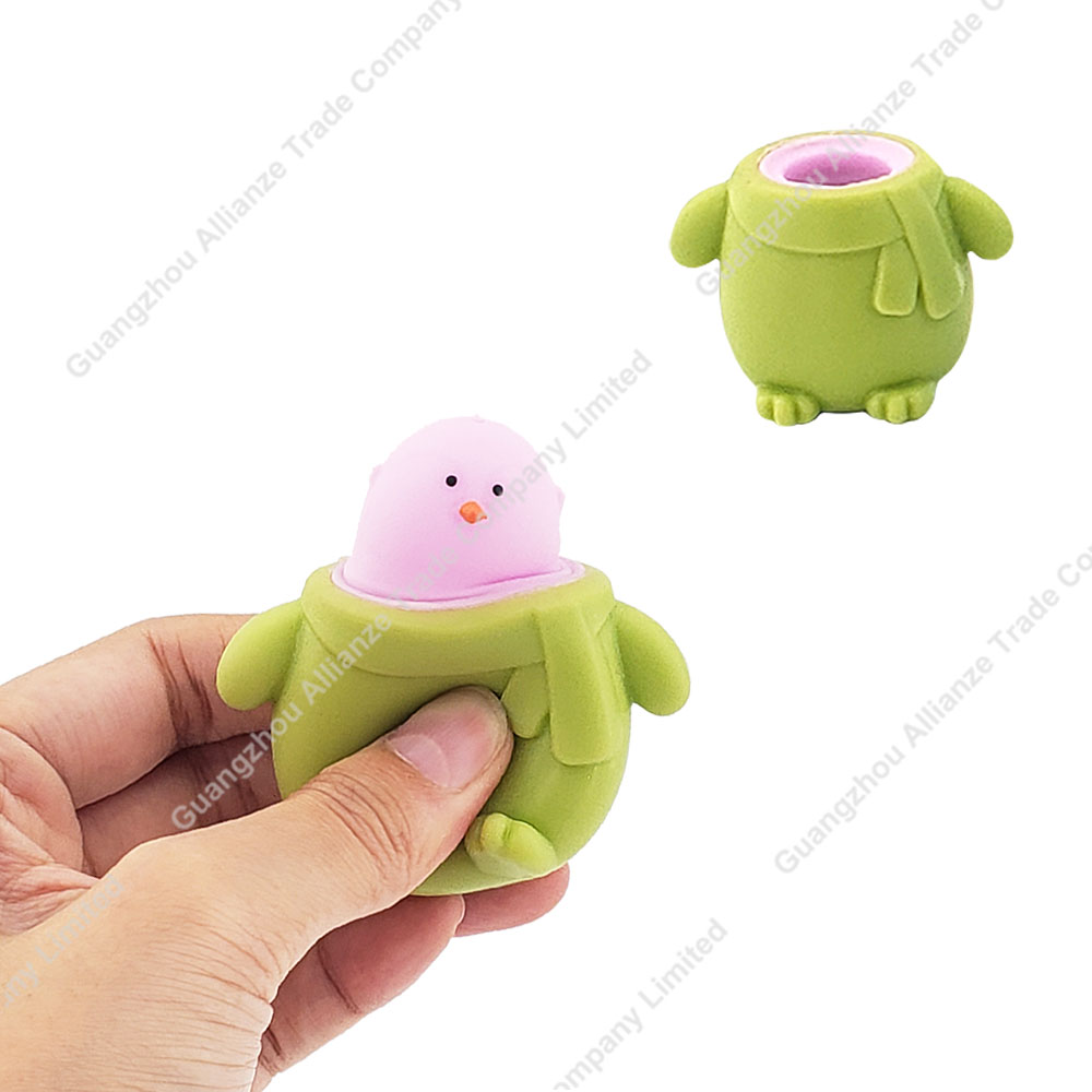 Tortue