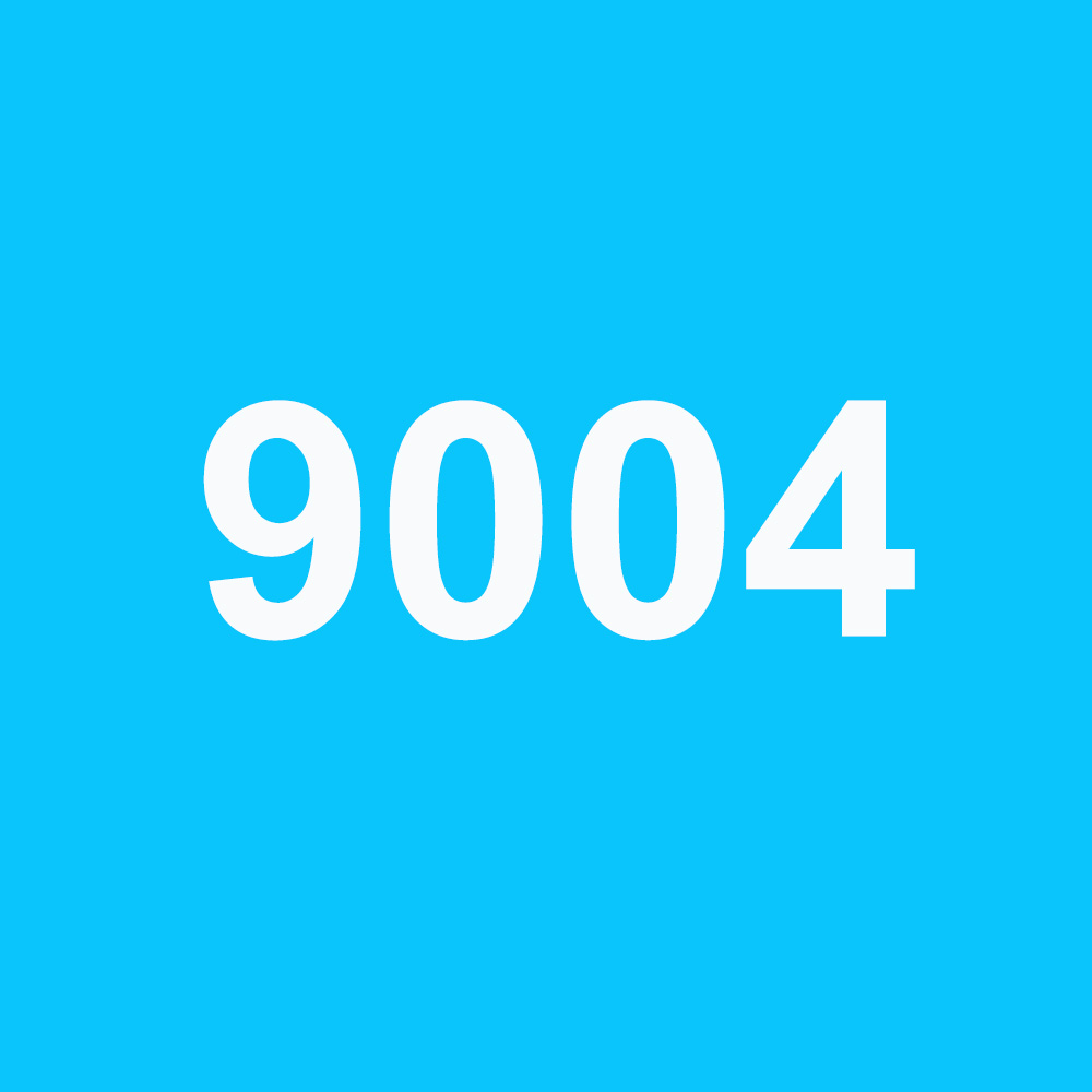 9004 6000K