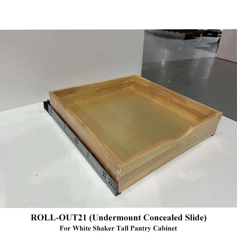 Scivolo ROLL-OUT21-Undermount nascosto