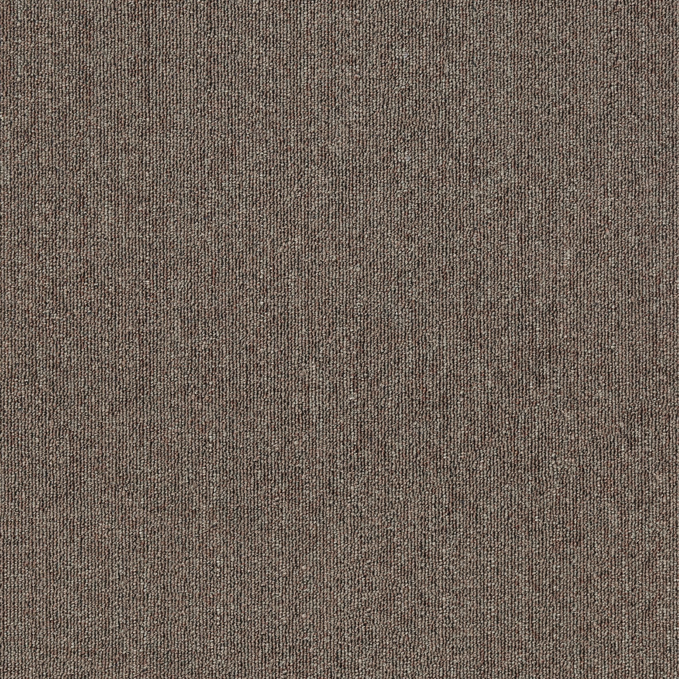 MDL07