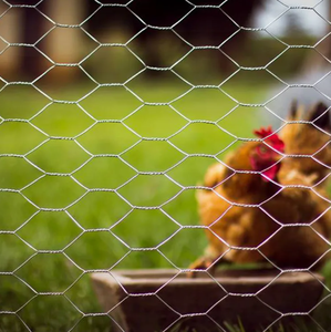 1/2 "Sechseck gewebter Maschendraht Verzinkter Drahtgitter Zaunnetz Sechseckiges Draht geflecht für Paneel zaun